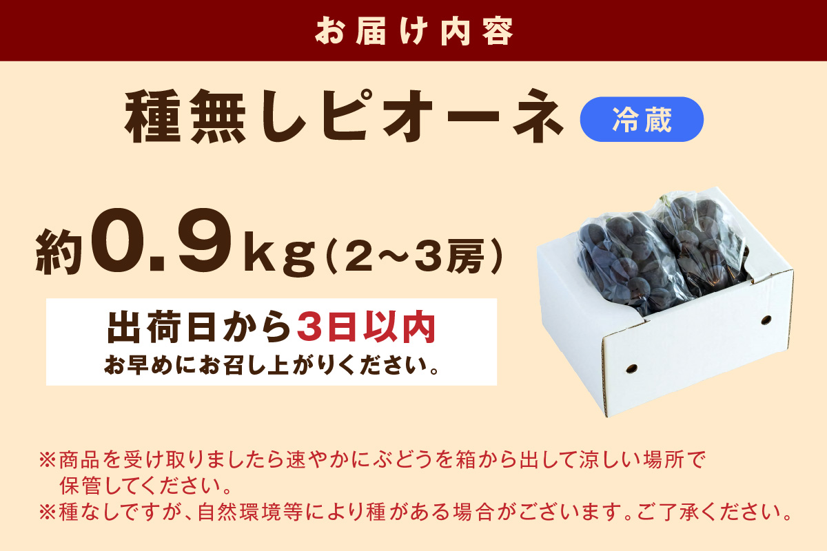 種無しピオーネ 約0.9kg 2～3房 果物 ピオーネ ぶどう 【183_1879】
