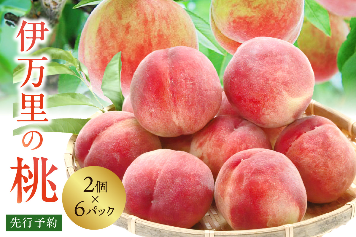 【先行予約】伊万里の桃 2個×6パック B123
