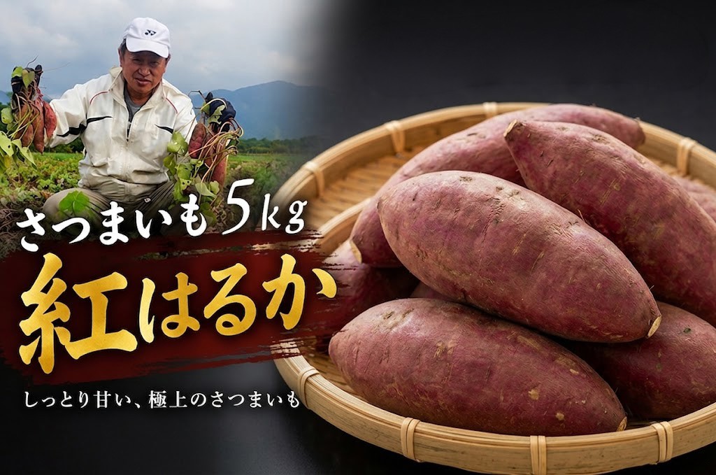 
                  紅はるか 【紅はるか・さつまいも】 5kg | 紅はるか芋 紅はるかさつまいも 焼き芋紅はるか さつまいも野菜 べにはるか やさい ミネラル 長期保存 産地直送 国産 九州 大分県 豊後高田市
                