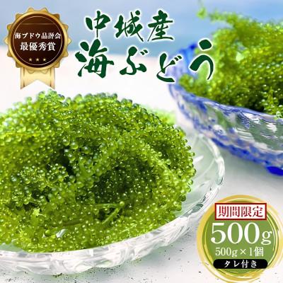 ふるさと納税 中城村 【沖縄から産地直送】県産海ぶどう品評会最優秀賞受賞!ちゅら海ぶどう500g×1箱