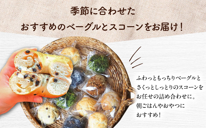 【全6回定期便】厳選おすすめ ベーグル ＆ スコーン 各12個 (24個セット) 詰め合わせ お取り寄せ 冷凍 個包装 沖縄市 / ZEBRA.Bagel [BCAE015]
