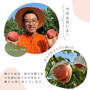 桃 白鳳 約4kg 箱 (13～15個) 【秀品】 カキエモン農園【BX-kkem028】