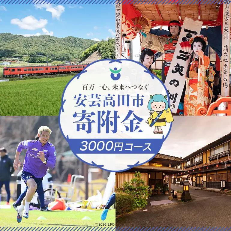 【返礼品なし】「 安芸高田市 」への寄附 3,000円コース 自治体にお任せ
