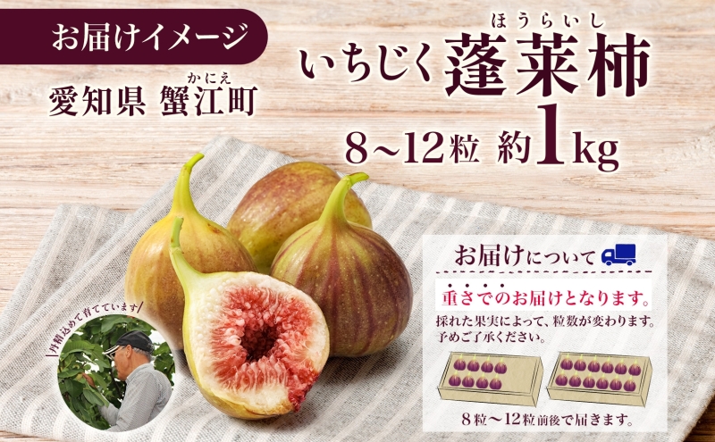 数量限定 いちじく 蓬莱柿 ほうらいし 約1kg 8粒～12粒 朝穫れ 果物 フルーツ 無花果 イチジク 愛知県産 デザート おやつ 食後 朝採り 産地直送 お取り寄せ 送料無料 名古屋西青果 愛知県