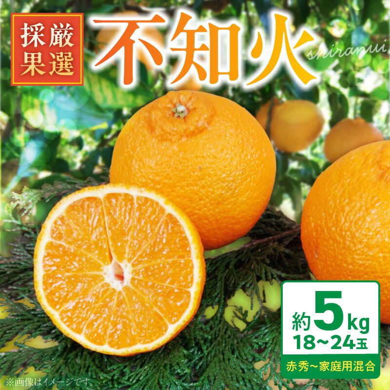 【ふるさと納税】【限定】 不知火 約5kg 18～24玉 厳選採果 庄助農園 赤秀 家庭用 混合 こだわり 熟成 濃厚 プリプリ 食感 果汁 甘さ 酸味 手作業 デコポン 柑橘 くだもの デザート お取り寄せ お取り寄せフルーツ 和歌山県 湯浅町 送料無料