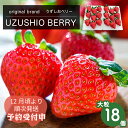 【ふるさと納税】【 予約受付中・2024年12月頃より順次発送 】フルーツガーデンやまがたのいちご「うずしおベリー」約600g 大粒 18個 苺 いちご イチゴ 紅ほっぺ 果物 フルーツ 送料無料 徳島 鳴門 農家直送 ギフト 甘い 旬 数量限定