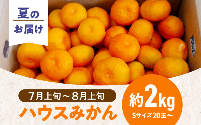 愛媛県産 プレミアム柑橘5kgセット（ハウスみかん2kg、まどんな3kg）　愛媛県大洲市/峯田農園 [AGBT012]みかん オレンジ フルーツ ミカン 果物 かき氷 みかんジュース 愛媛みかん こた