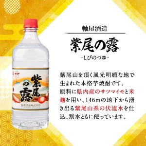 s236 本格芋焼酎！紫尾の露＜25度＞2本セット(計3.6L・1.8L×2本)【中村商店】