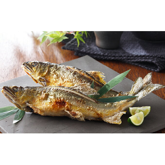 【ふるさと納税】 【一級河川・江の川の恵み】生粋鮎　0.8kg【川魚 魚貝類】魚介類 魚 鮎 養殖 約13尾 期間限定 季節限定 冷蔵配送
