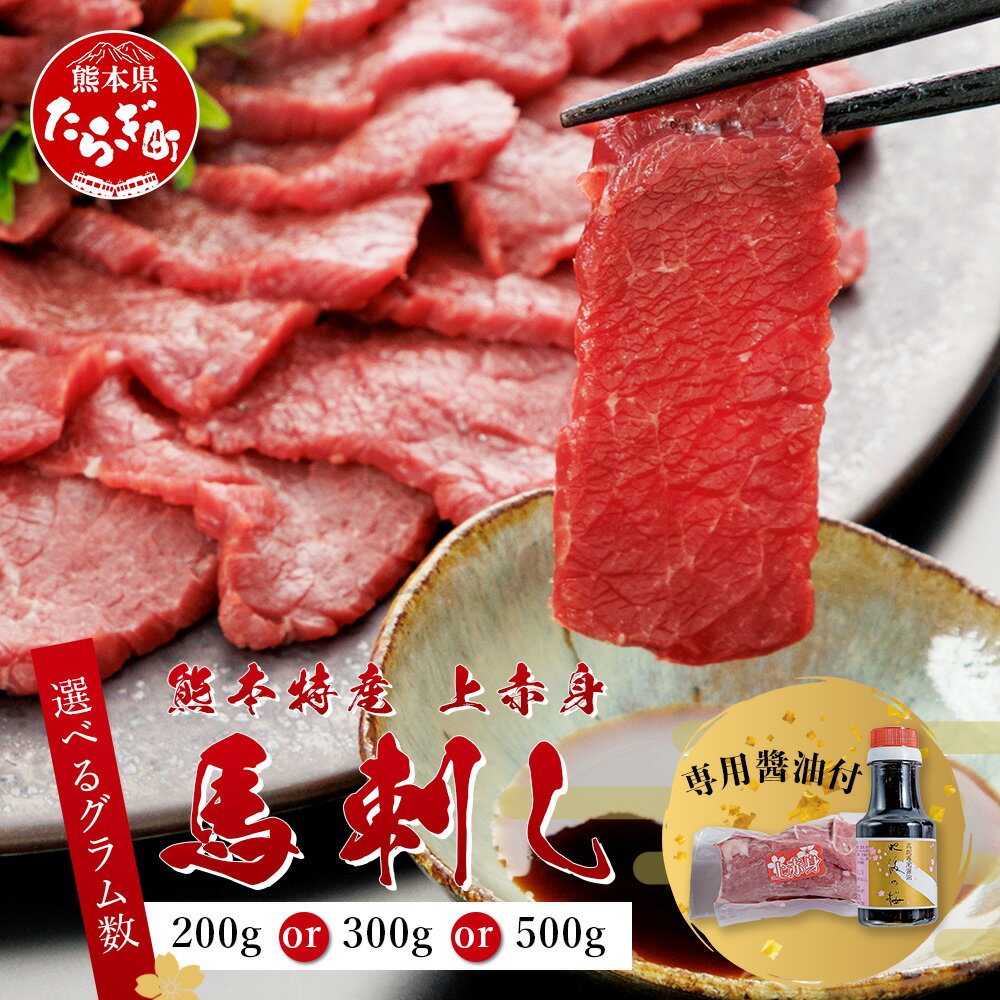 【ふるさと納税】熊本県 上赤身 馬刺し 約200g / 300g / 500g (専用醤油付き 150ml×1) 選べる内容量 熊本県 多良木町 ふるさと納税 馬肉 馬さし 肉 ヘルシー 赤身 本場 冷凍 希少部位 ヘルシー 盛り合わせ 九州産 熊本 熊本県産 送料無料