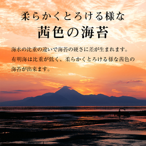 訳あり　有明海産 焼き海苔 2切10枚×10袋（100枚分）【015-0016】