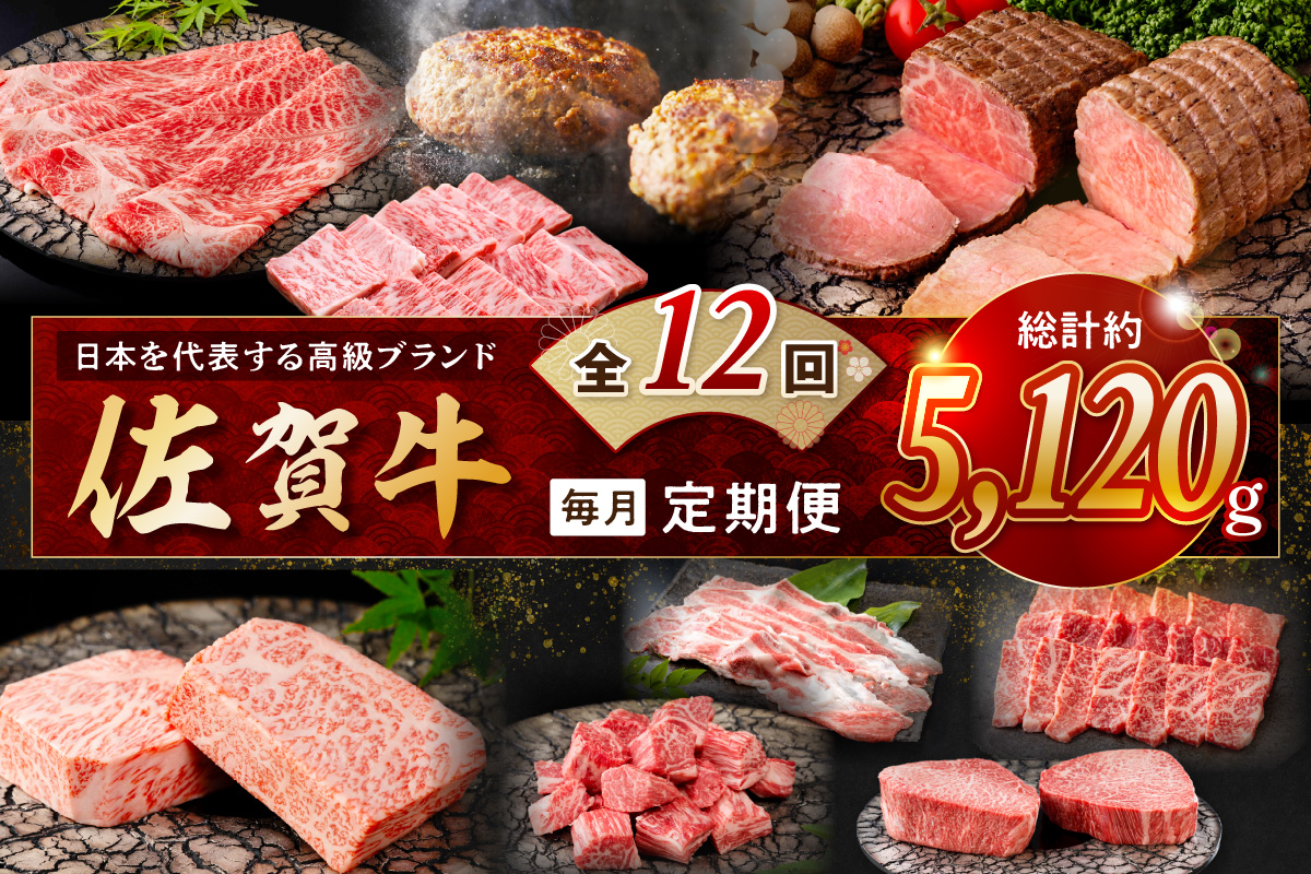 【発送月固定 定期便】肉の定期便! 佐賀牛 毎月月替わりでお届け 全12回 J1171