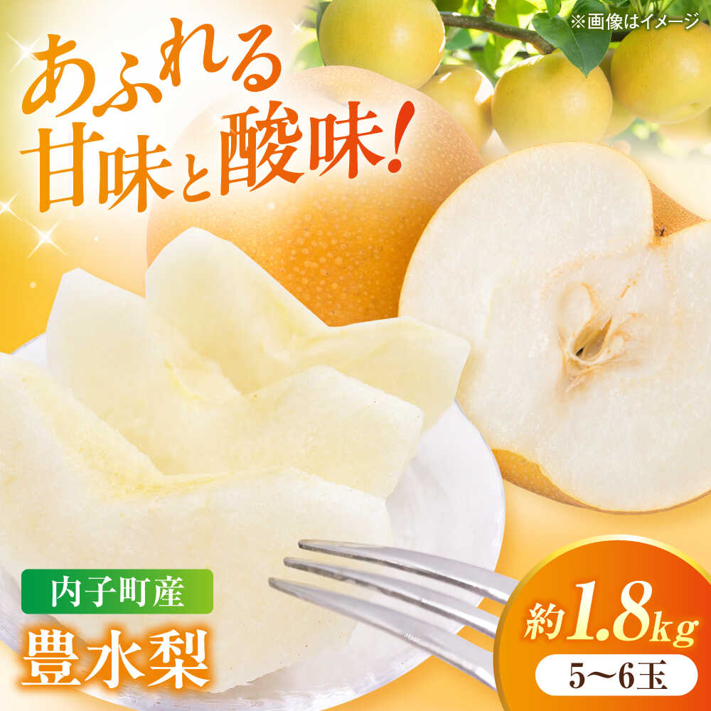 【ふるさと納税】【先行予約】豊水梨【5〜6玉】＜2026年8月下旬から発送＞【北海道・沖縄配送不可】 ／ 梨 なし ナシ 豊水ナシ 豊水梨 ほうすいなし 和梨 果物 フルーツ ふるーつ 国産 産地直送 送料無料【株式会社フジ・アグリフーズ】 [BKAY022] 9000円