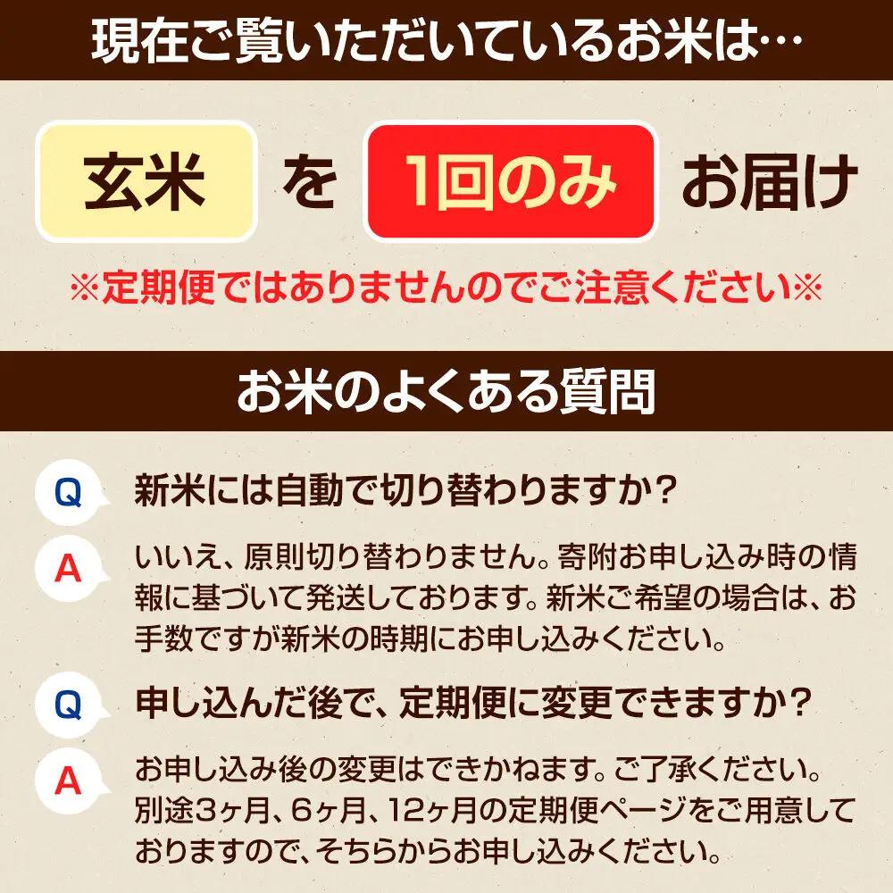 《令和8年産 新米予約》【玄米】真田のコシヒカリ小松姫 10kg（5kg×2袋） 金井農園