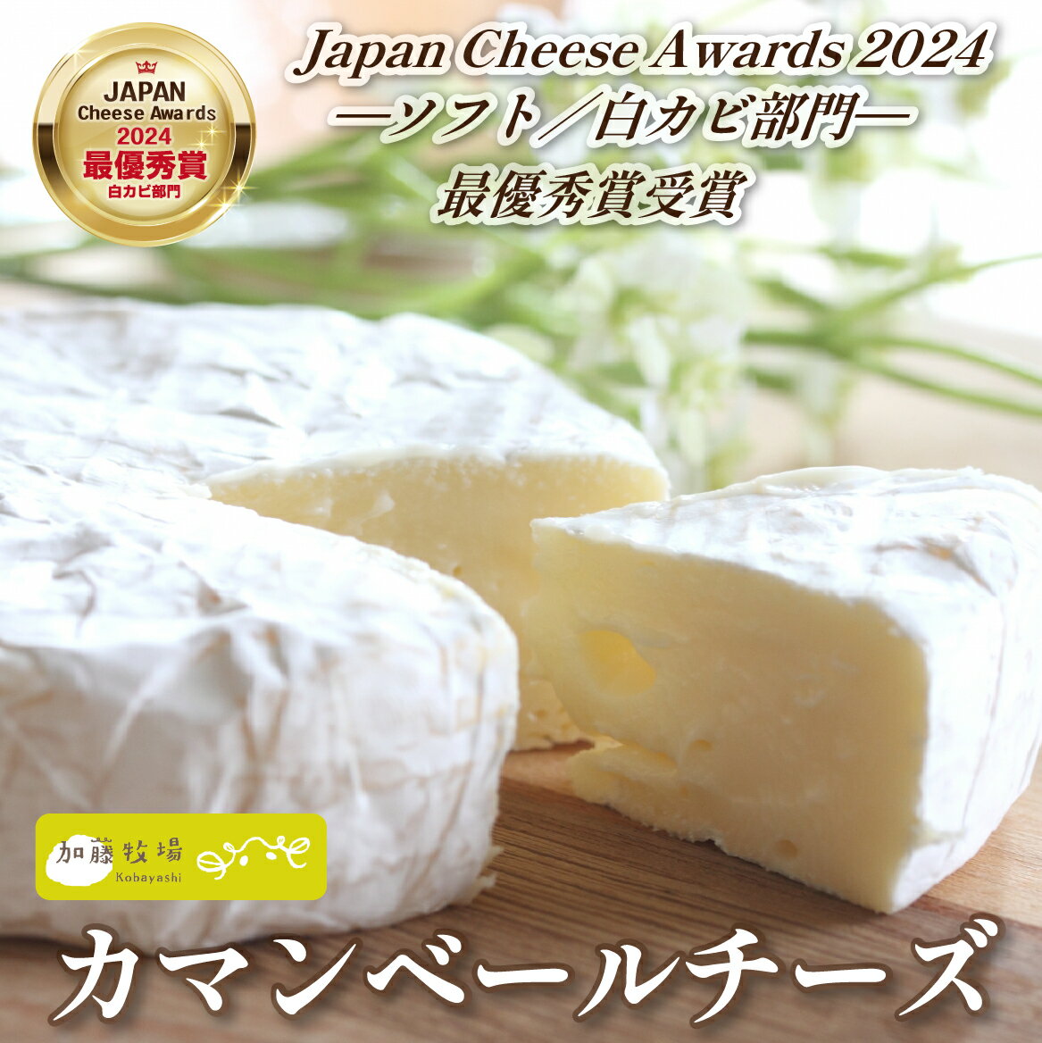 【ふるさと納税】【国内コンテスト最優秀賞受賞！】カマンベールチーズ 1個 100g チーズ 国産 乳製品 生乳 国産チーズ ノンホモ 手作り ふるさと 人気 おすすめ 贈答 ギフト お裾分け プレゼント 宮崎県 小林市 送料無料