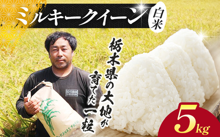 【先行予約】栃木県 下野市 ミルキークイーン5kg 米