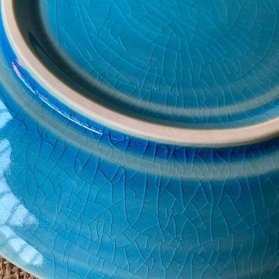 ふるさと納税 多治見市 【令和7年産:玄米】特別栽培米コシヒカリ(2kg)+【美濃焼】青輝貫入7寸皿 |  | 02