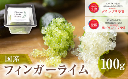 先行予約 フィンガーライムアソート 果実 100g 詰め合せ 品種お任せ フィンガーライム FINGER LIME JAPAN公認 キャビアライム フルーツキャビア 森のキャビア 柑橘 愛知県 田原市 渥美半島 国産 13000円