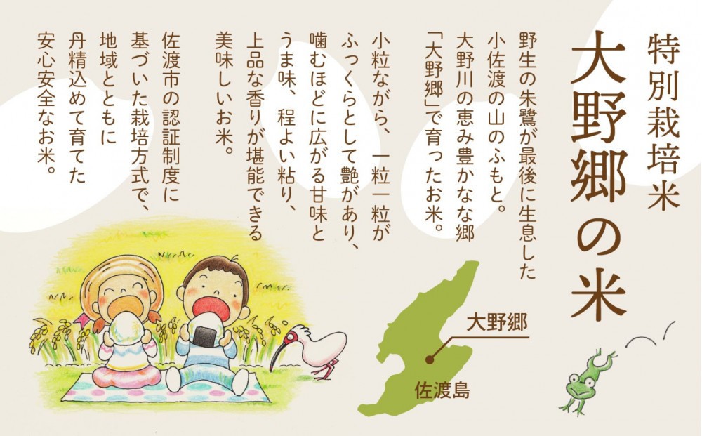 【令和７年産】佐渡島産 特別栽培米こしひかり「大野郷の米」精米5kg×３回 定期お届けコース