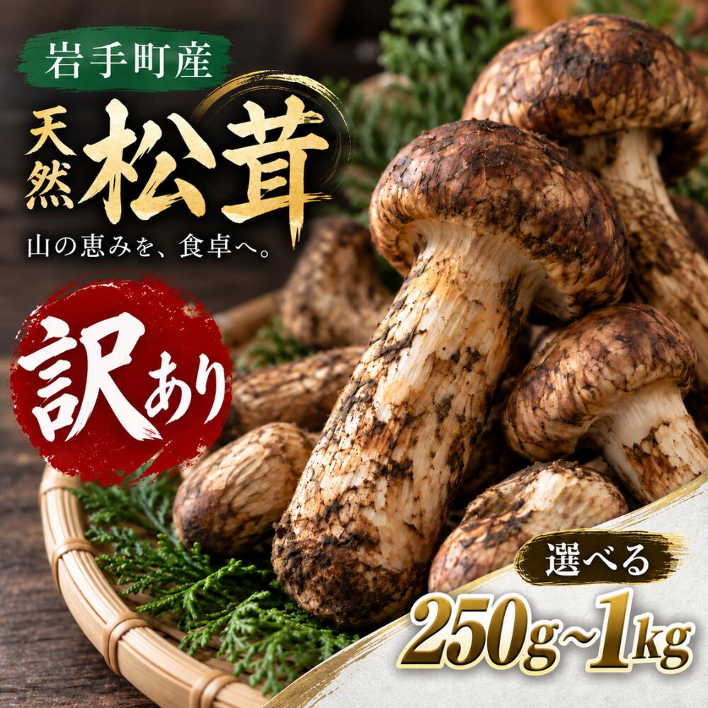【ふるさと納税】松茸 訳あり 国産松茸 天然松茸 訳あり松茸 まつたけ マツタケ 岩手県産 岩手町産 先行予約 選べる容量 250g 500g 1kg 2026年発送 秋の味覚 天然まつたけ 希少 家庭用 自宅用 サイズ不揃い きのこ 松茸ご飯 焼き松茸 土瓶蒸し 天ぷら 炊き込みご飯 冷蔵配送