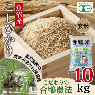 ふるさと納税 十日町市 【玄米】魚沼産 コシヒカリ 10kg 栽培期間中農薬不使用 あいがも農法 有機栽培米 新潟県十日町市