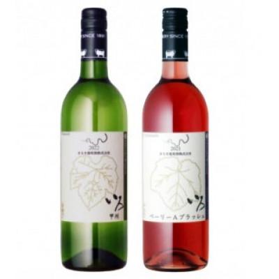 ふるさと納税 甲州市 まるき【いろシリーズ】計2本 いろ甲州/いろベーリーAブラッシュ