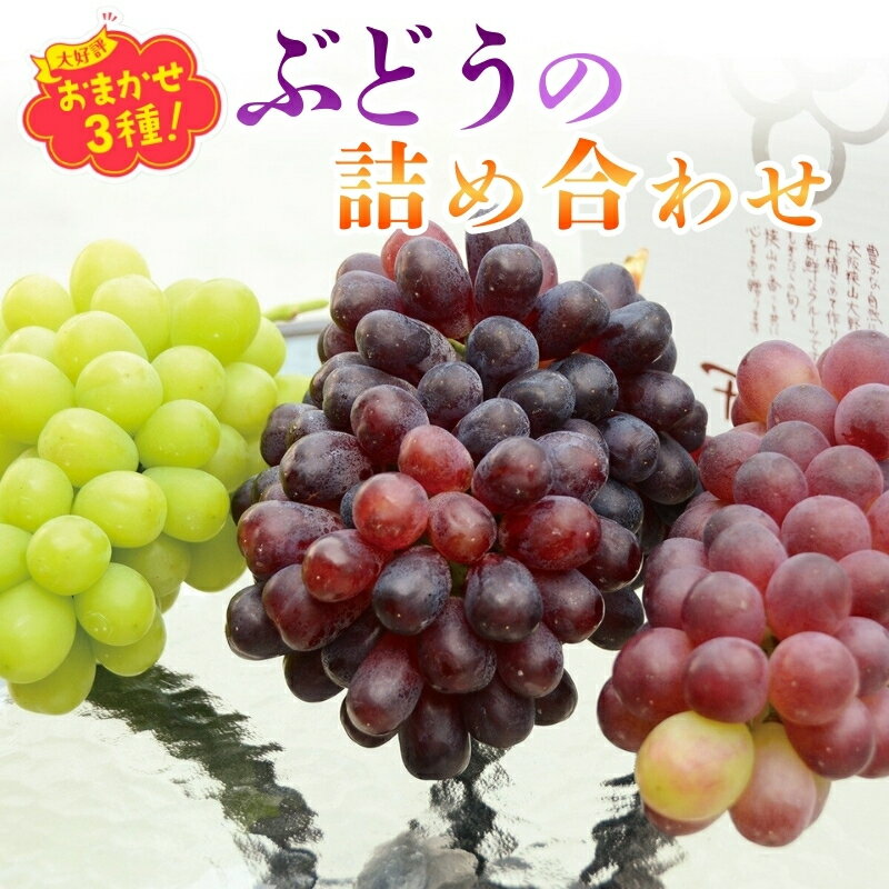 【ふるさと納税】【2026年6月下旬～順次発送】おまかせオリジナル品種3種詰め合わせ（皮ごと食べられる品種1房含む）約1.8Kg　中村オリジナルぶどう園l※発送前のご連絡についてご注意ください 希少 オリジナル品種含む おまかせ 葡萄 ブドウ グレープ フルーツ 果物 くだ
