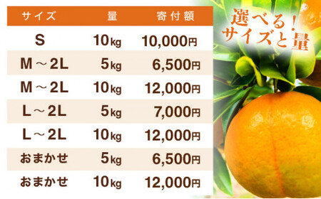 【先行予約】訳ありポンカン　サイズおまかせ　5kg　NT6 [N-05] 【布富FARM】