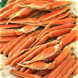 【ふるさと納税】ボイル ずわい 蟹 4Lサイズ 3kg（7～9肩）【11】 ｜蟹 カニ かに ボイル お取り寄せ お歳暮 カニしゃぶ 鍋 しゃぶしゃぶ ズワイガニ ずわい蟹 グルメ ポーション カット済 冷凍 ギフト 贈り物 贈答用 プレゼント 送料無料 大阪府 阪南市