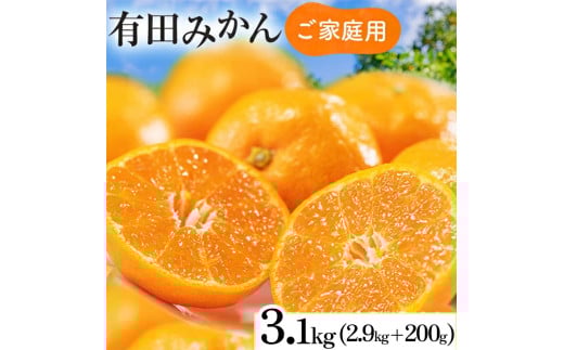 【先行予約】【数量限定】濃厚有田みかん（ご家庭用）3.1kg(2.9kg+200g(傷み補償分))｜有田みかんみかん 濃厚みかん みかんご家庭用 みかん5.7kg みかん5.5kg みかん傷み補償 みかん先行予約 みかん数量限定 ミカン 蜜柑 温州みかん ありたみかん 完熟みかん 完熟有田みかん ※2025年10月上旬～2026年1月下旬頃に順次発送予定 ※北海道・沖縄・離島への配送不可