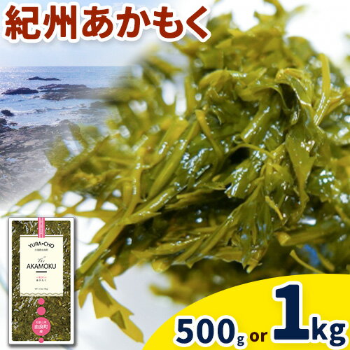 【ふるさと納税】紀州あかもく(由良町産) 500g (100g×5パック) または 1kg(100g×10パック) 《30日以内に出荷予定(土日祝除く)》 和歌山県 日高町 海藻 アカモク スマイル 味噌汁 惣菜