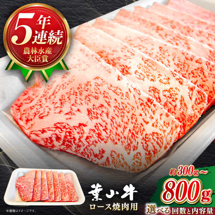 【ふるさと納税】【選べる容量/回数】葉山牛 ロース焼肉用 ／ 牛肉 黒毛和牛 神奈川県 特産品【葉山牛ステーキレストラン 角車】[ASBD050]