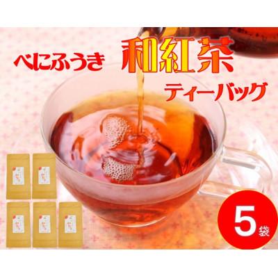 ふるさと納税 藤枝市 べにふうき　和紅茶ティーバッグ(2.5g10包) 5袋セット