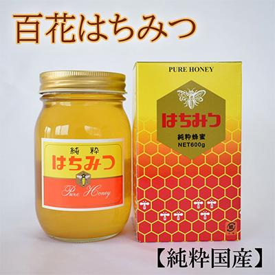 ふるさと納税 那智勝浦町 【純粋国産】和歌山県産百花はちみつ約600g(那智勝浦町)