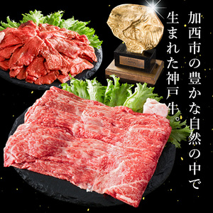 神戸牛 定期便 6ヶ月 贅沢 6種 神戸ビーフ 神戸牛