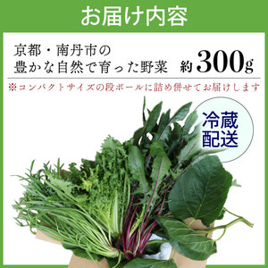 【爬虫類用】 季節の葉っぱ詰め合わせ セット 約 300g 葉