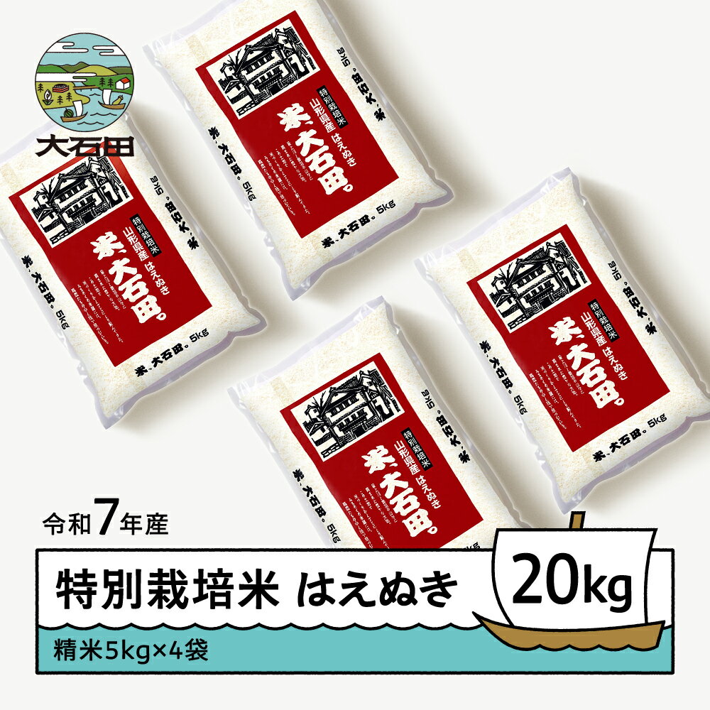 【ふるさと納税】 新米 米 令和7年産 はえぬき 20kg 大石田町産 特別栽培米 精米 送料無料 大石田
