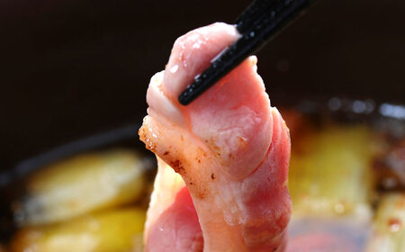 テレビ番組で紹介されました！島根県産野草ミネラル熟成鴨の焼肉セット（6～8人前）【美味しい食べ方レシピ付き】鴨鍋 鴨肉 焼肉 しゃぶしゃぶ 島根県雲南市/鴨専門店カナール[AIDC005]