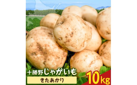 【2026年秋出荷】先行予約 十勝野じゃがいも きたあかり 10kg 按田農場《2026年10月中旬-11月末頃出荷》北海道 豊頃町 十勝野 じゃがいも 農家直送 数量限定