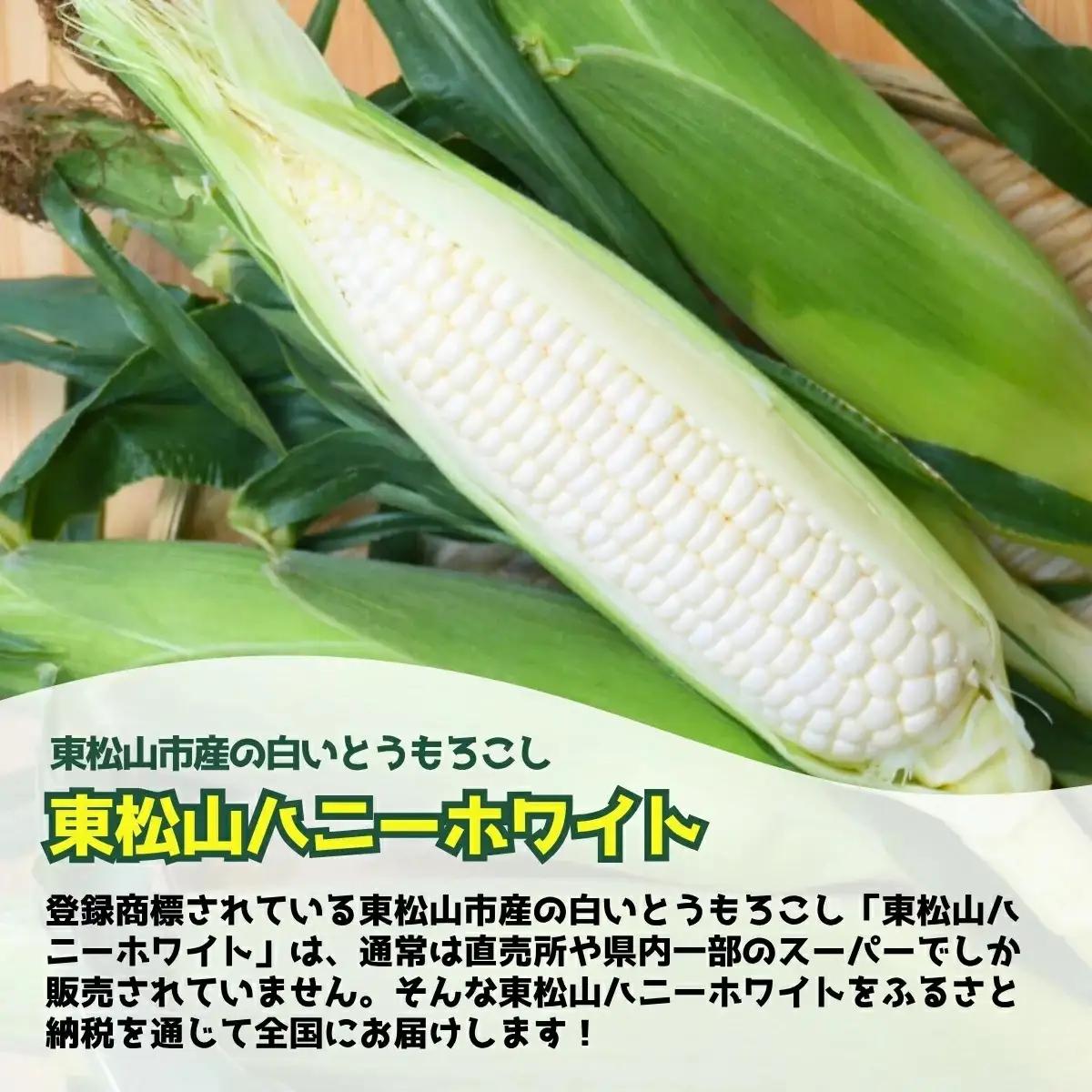 ＜先行予約＞ 東松山ハニーホワイト 5本 特大サイズ(3L) 