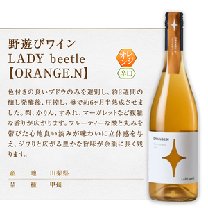 フジクレール 野遊びワイン LADY beetle【ROSE SP Sparkling】【GREEN.N Sparkling】【ORANGE.N】3本セット（MG）D7-662【ワイン フジクレール 