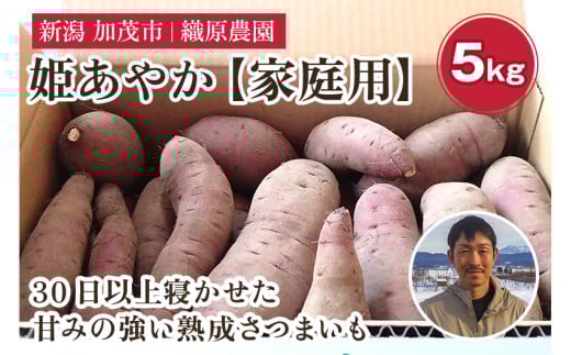 【2025年先行予約】新潟県 加茂市産 姫あやか 【家庭用】 5kg 《11月上旬～順次発送》 人気 さつまいも 訳あり 家庭用 さつまいも 熟成 さつまいも しっとり甘みの強い さつまいも 焼き芋 焼芋 スイートポテト 加茂市 織原農園