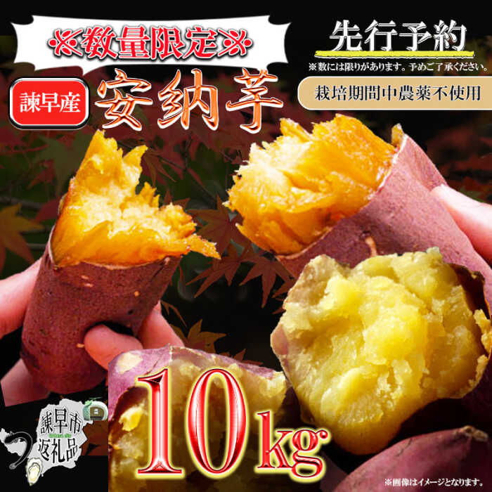 【ふるさと納税】※【2025年11月より順次発送／先行予約】【訳あり】栽培期間中農薬不使用 安納芋 10kg / さつまいも サツマイモ いも イモ 芋 野菜 スイーツ 訳あり 訳アリ / 諫早市 / ふるさと有明ファーム [AHAQ001]