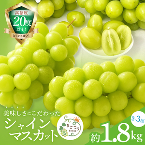 【2026年9月中旬より順次発送】令和7年度 茨城県生産力向上共励会 特別賞受賞！糖度約20～22度！美味しさにこだわったシャインマスカット（約1800g）2～3房  化学肥料不使用 農家直送【葡萄 ぶどう マスカット フルーツ 果物 くだもの 水戸市 水戸 茨城県】（GG-25）