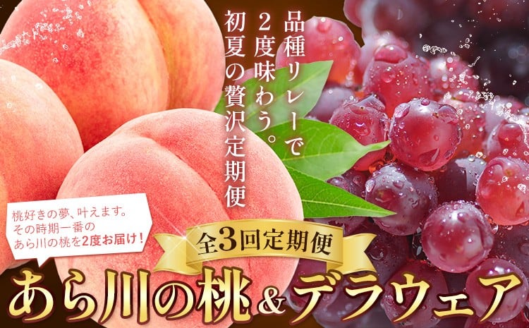 
                  【定期】【チョイス限定】デラウェアと最高級ブランド「あら川の桃」を品種リレーで２度味わう。初夏の贅沢定期便【全3回】《2026年6月-8月頃出荷》白鳳 清水白桃 川中島白桃 なつっこ 桃 2回 品種違い 食べ比べ
                