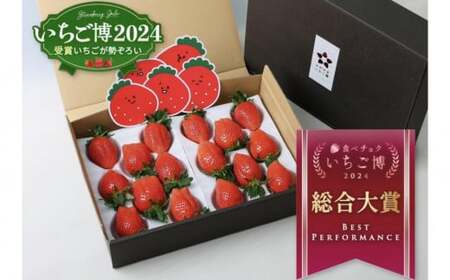 【いちご博総合大賞】やよいひめ 約800g※2026年1月上旬～4月下旬頃に順次発送予定