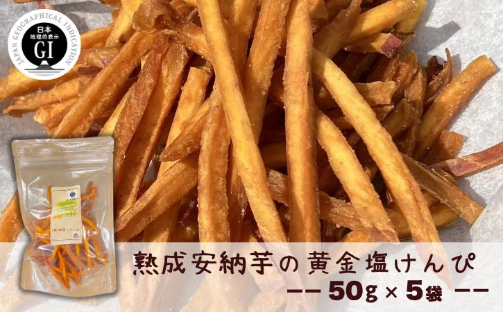 
            種子島 中園ファーム 熟成 安納芋 の 黄金 塩けんぴ 50g×5袋　NFN633【250pt】 安納いも 芋けんぴ 熟成 スイーツ 安納芋 お菓子 加工品 さつまいも 無添加 お菓子 国産 自然派 スナック 天然の甘み 特産品 鹿児島 お土産
          