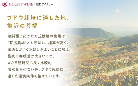 ベーリーAロゼスパークリング 720ml 敷島醸造 ワイン ロゼ ロゼワイン スパークリングワイン 辛口 山梨 甘口 日本ワイン 国産ワイン ぶどう ギフト お祝い 甲斐市 F-29