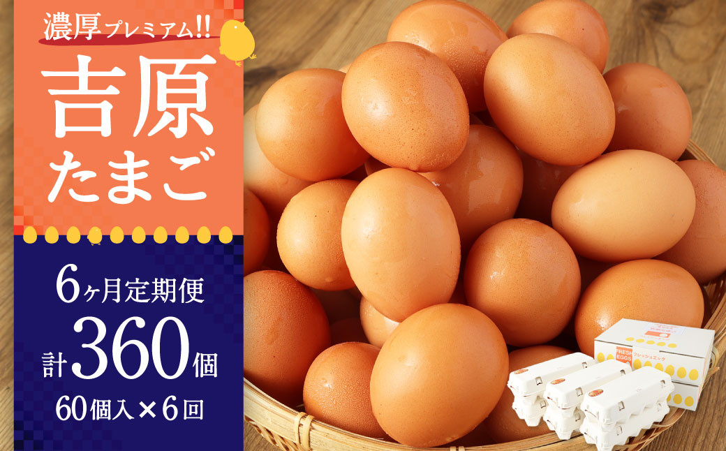 G-10 【６ヶ月定期便】濃厚プレミアム！！吉原たまご2箱 30個入り×2箱 計60個 卵 たまご