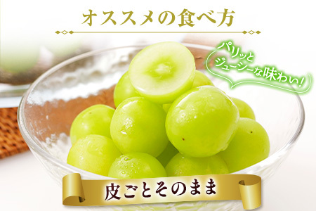 先行予約 シャインマスカット 2房 合計1kg+100g（補償付）宮崎県産【B606-24】